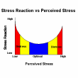 stress test